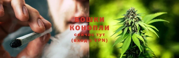 PSILOCYBIN Беломорск