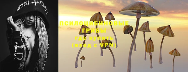 PSILOCYBIN Беломорск