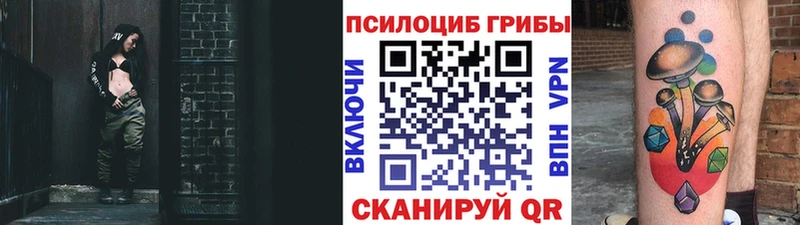 KRAKEN рабочий сайт  Полесск  Псилоцибиновые грибы Cubensis  дарнет шоп 
